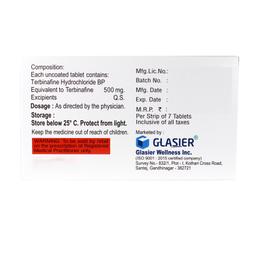 Terbinafine Tablets Manufacturer & Wholesaler Supplier