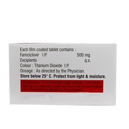 Famciclovir Tablet Manufacturer & Wholesaler Supplier
